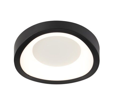 Светильник потолочный светодиодный VALESO 2941/1, LED 24W, Черный 47376 фото